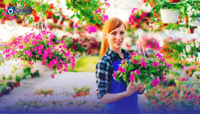 Lesson 02: Realizing True Success: The Journey Beyond Great Expectations